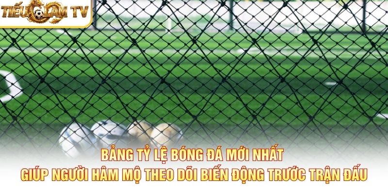 Bảng tỷ lệ bóng đá mới nhất giúp người hâm mộ theo dõi biến động trước trận đấu