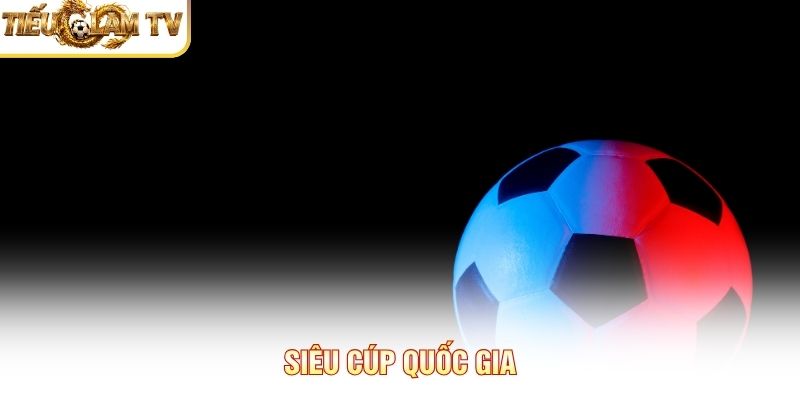 Siêu Cúp Quốc Gia 