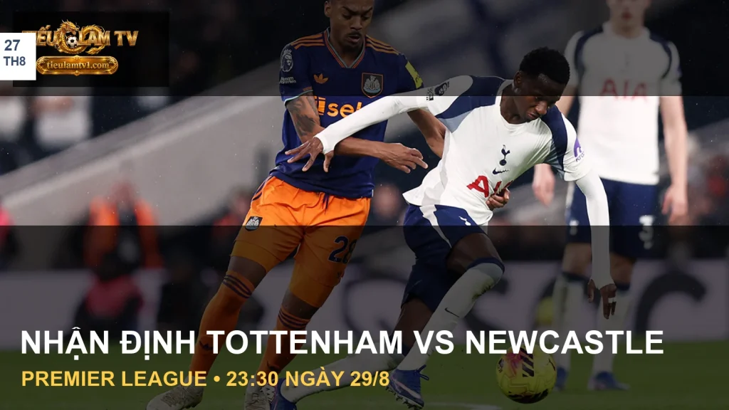 Cầu thủ Tottenham Hotspur và Newcastle United trong ảnh tư liệu trận đấu