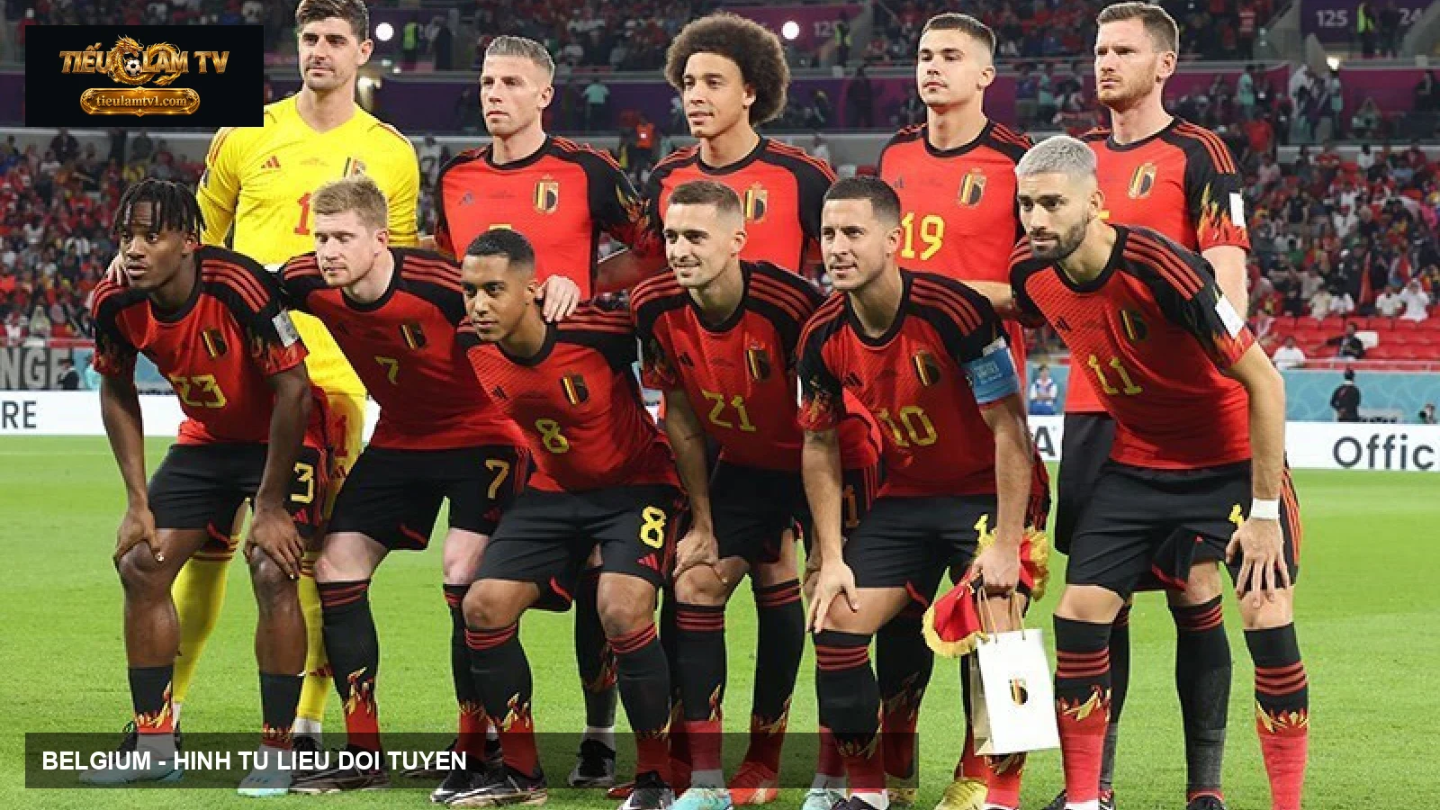 Đội tuyển Belgium tại World Cup 2022